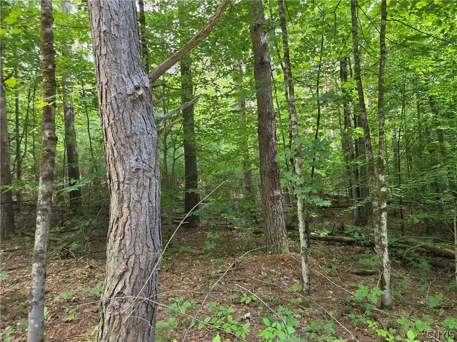 Lot #1 George Hill Road, Glenfield, NY 13343 - #3