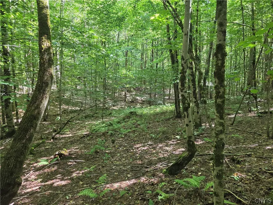 Lot #2 George Hill Road, Glenfield, NY 13343 - #2