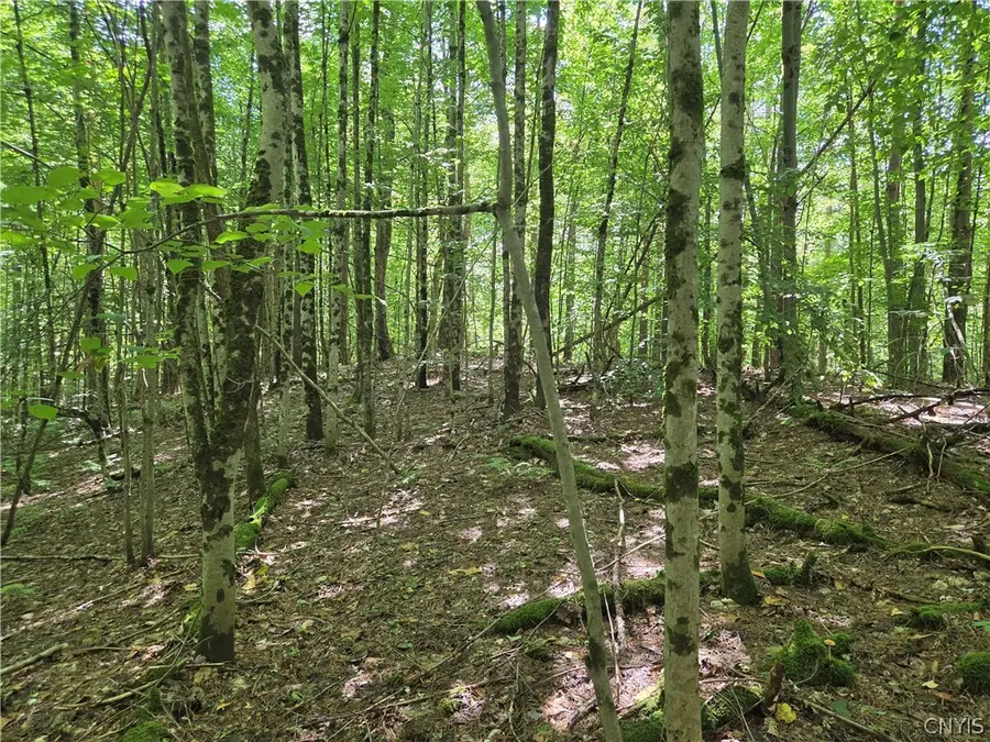 Lot #2 George Hill Road, Glenfield, NY 13343 - #3