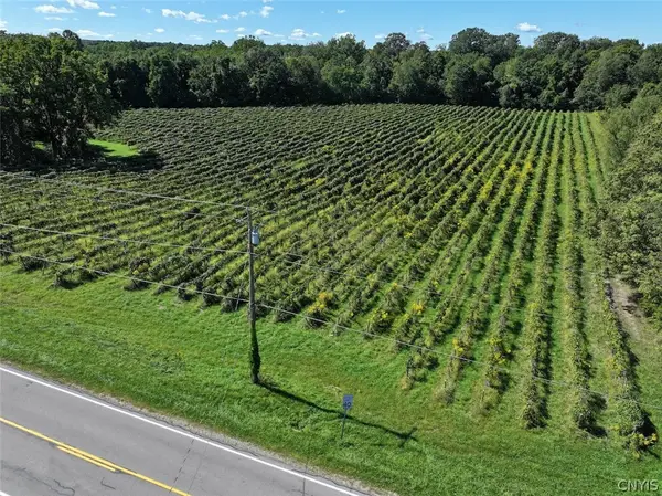 Bennett State Road, Forestville, NY 14062