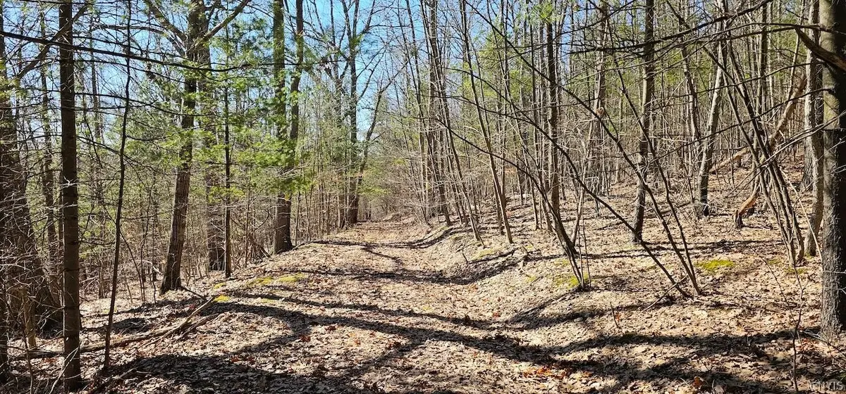 S Hill Road, Van Etten, NY 14889 - #1