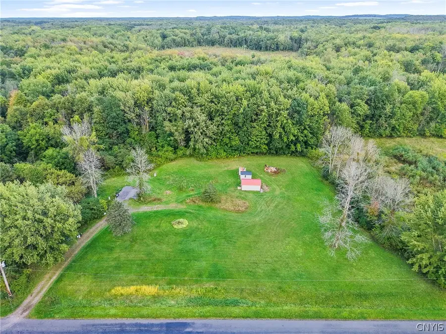12956 Timerson Rd, Red Creek, NY 13143 - #2
