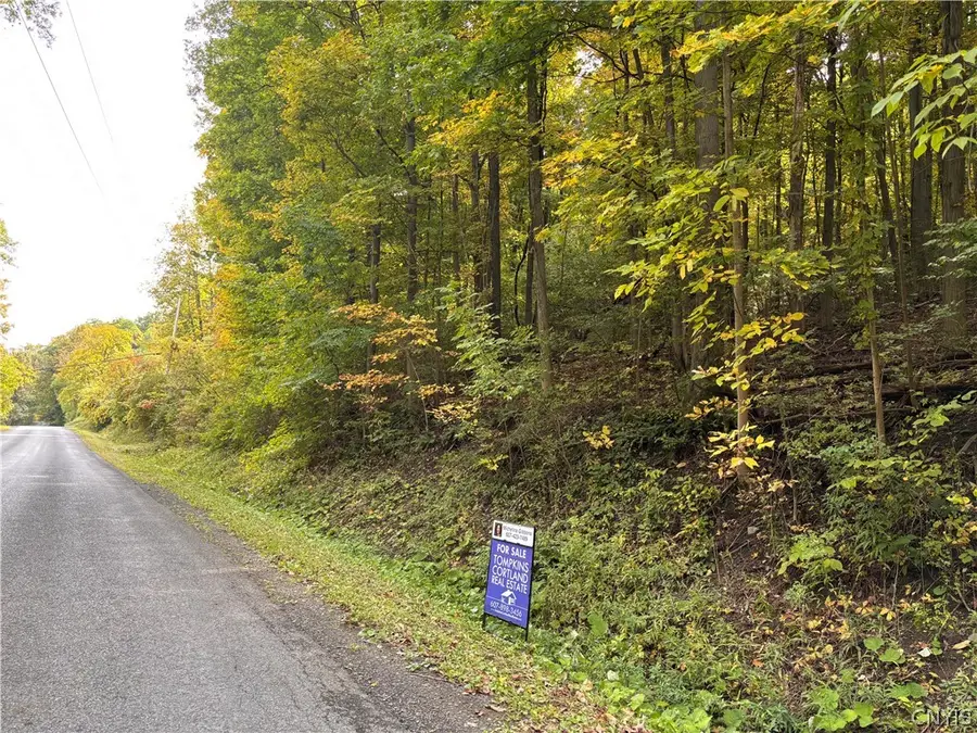 Smith Road, Newfield, NY 14867 - #2