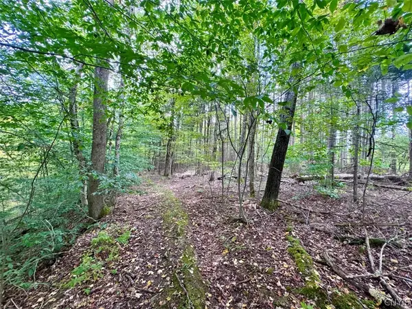 East Road, Angelica, NY 14709
