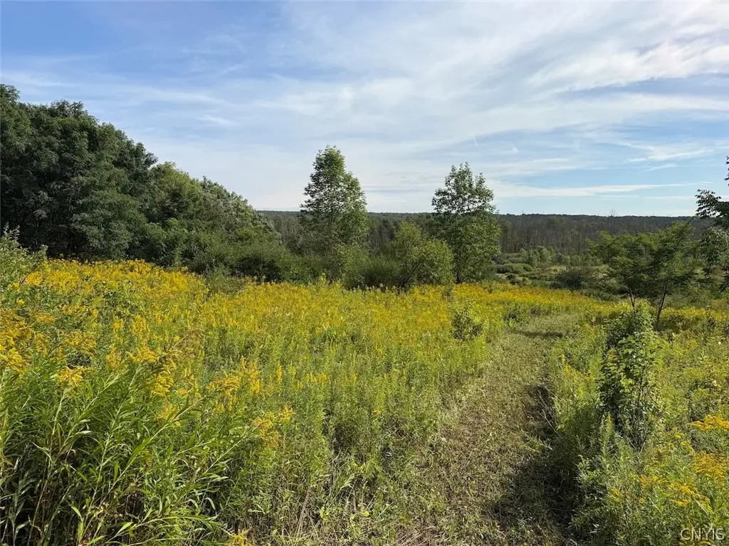 Dye Road, South Dayton, NY 14138 - #1