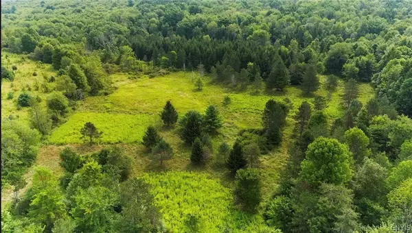 6030 Nys Route 26, Whitney Point, NY 13862