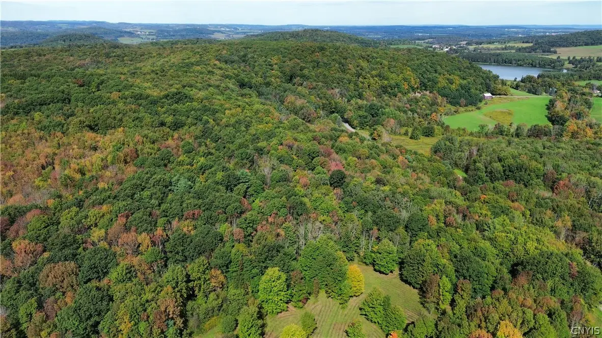 Lot 21 Buddle Road, Richfield Springs, NY 13439 - #1