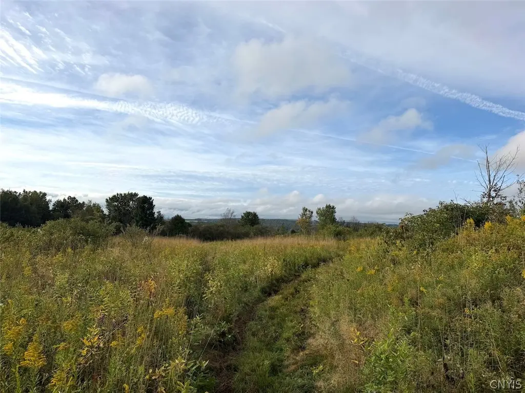 Ball Hill Road, South Dayton, NY 14138 - #1