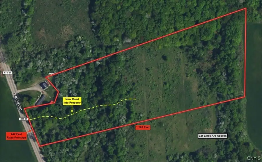 Ball Hill Road, South Dayton, NY 14138 - #2