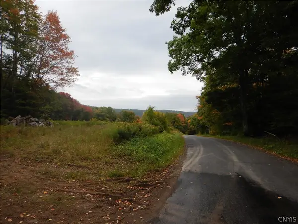 Houck Mountain, Walton, NY 13856