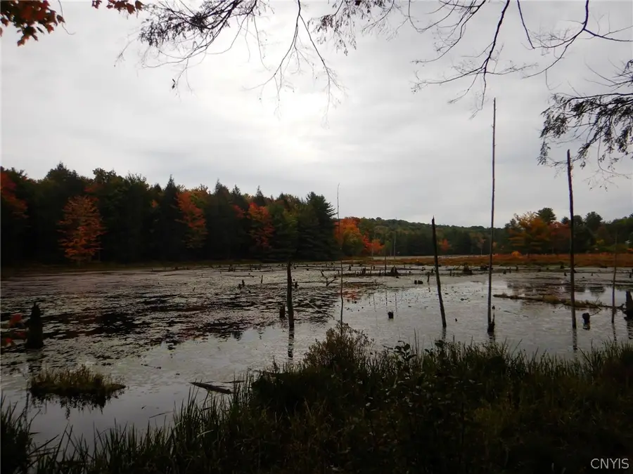 Flanders Hill, Windsor, NY 13865 - #2