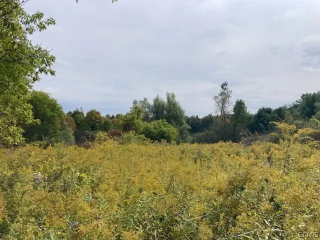 0 Link, Rome, NY 13440 - #3
