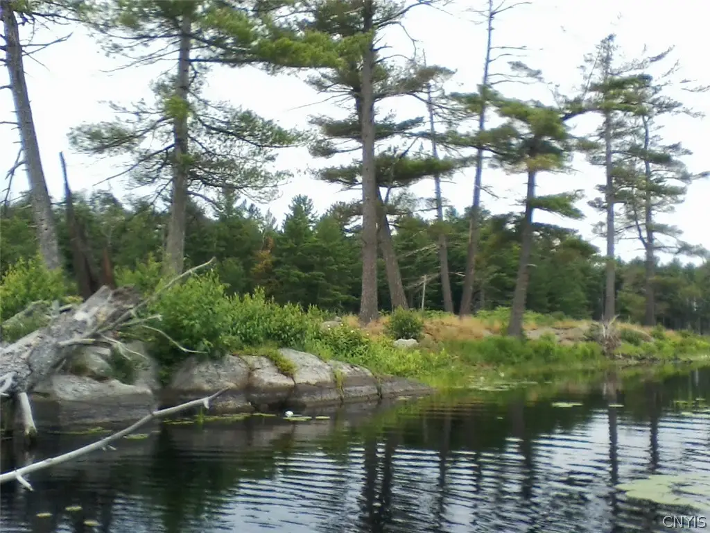 Island In Grass, Theresa, NY 13691 - #1