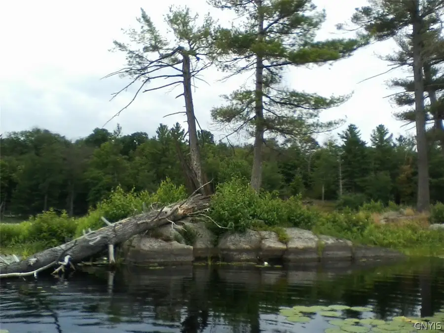 Island In Grass, Theresa, NY 13691 - #2