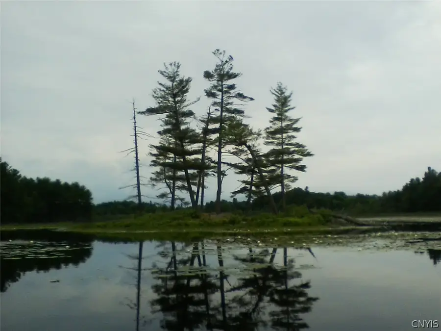 Island In Grass, Theresa, NY 13691 - #3