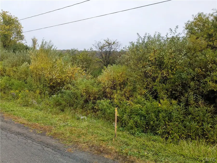 0 Foster Road, Homer, NY 13077 - #2