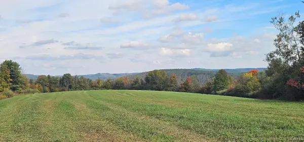Learn Road, , NY 14820