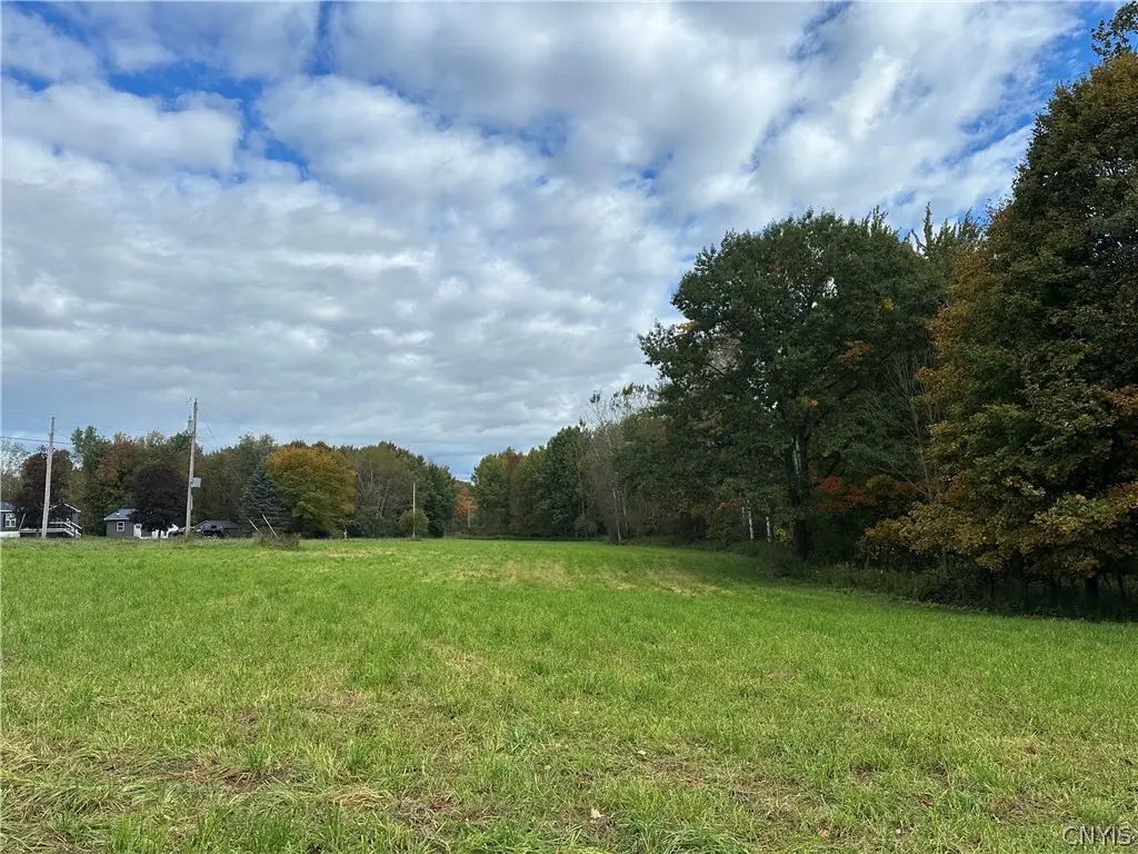 Pork Hill Road, Rodman, NY 13682 - #1