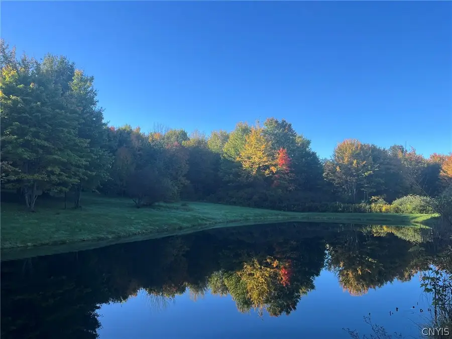 Schribner Road N, Springwater, NY 14560 - #2
