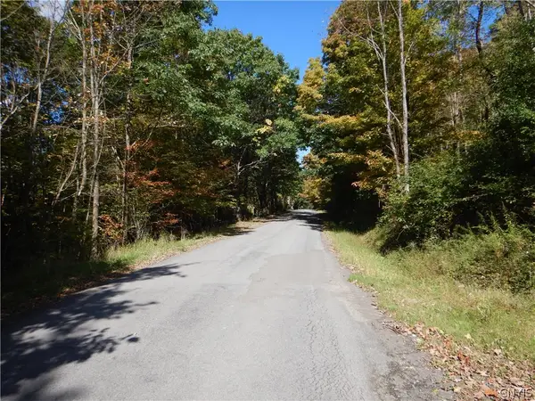 Phillips Road, Windsor, NY 13865