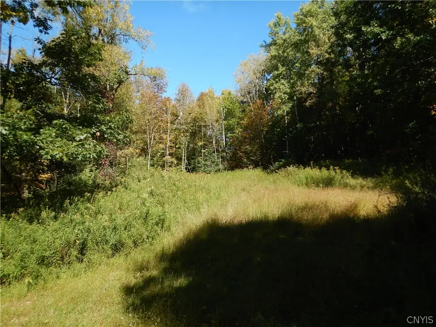 Phillips Road, Windsor, NY 13865 - #2