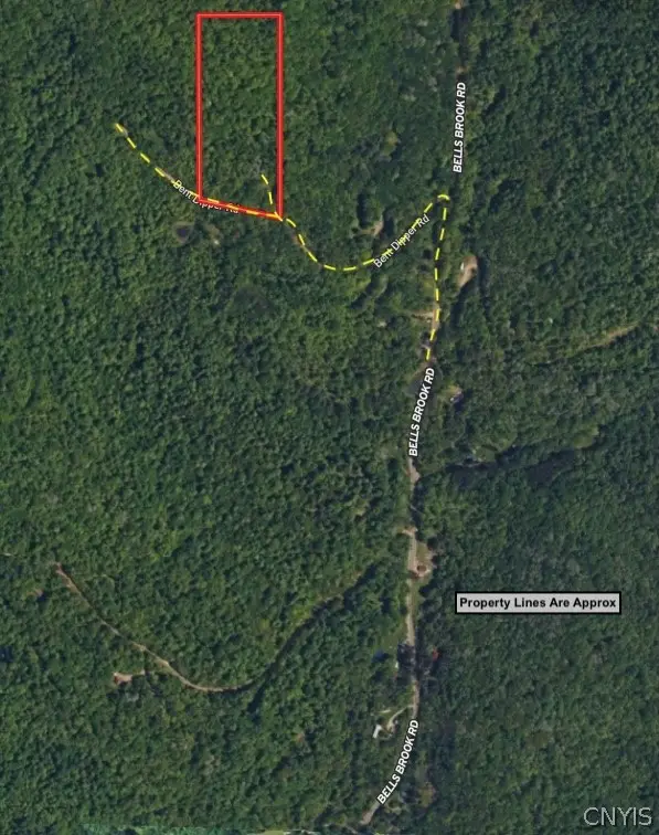 Bent Dipper Road, Ceres, NY 14721 - #3