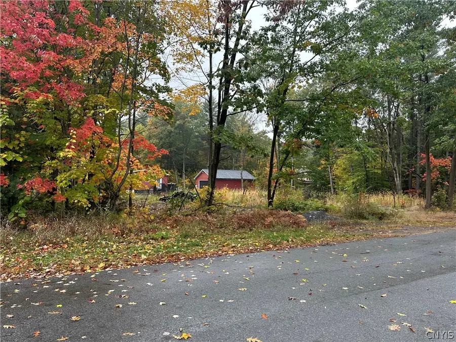 30995 Percy Chicks Drive, Black River, NY 13612 - #2
