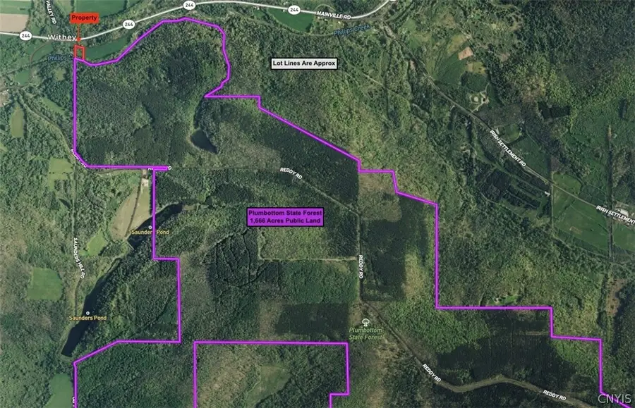 4491 Phillips Creek Road, Belmont, NY 14813 - #3