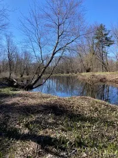 13869 Middle Branch Road, Harrisville, NY 13648 - #2