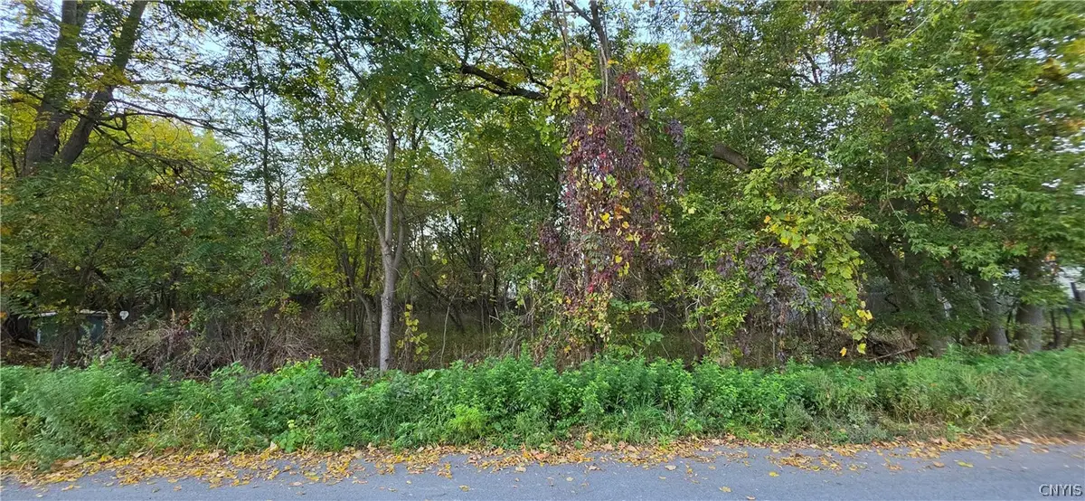 32 and 34 Pine Street, Cortland, NY 13045 - #1