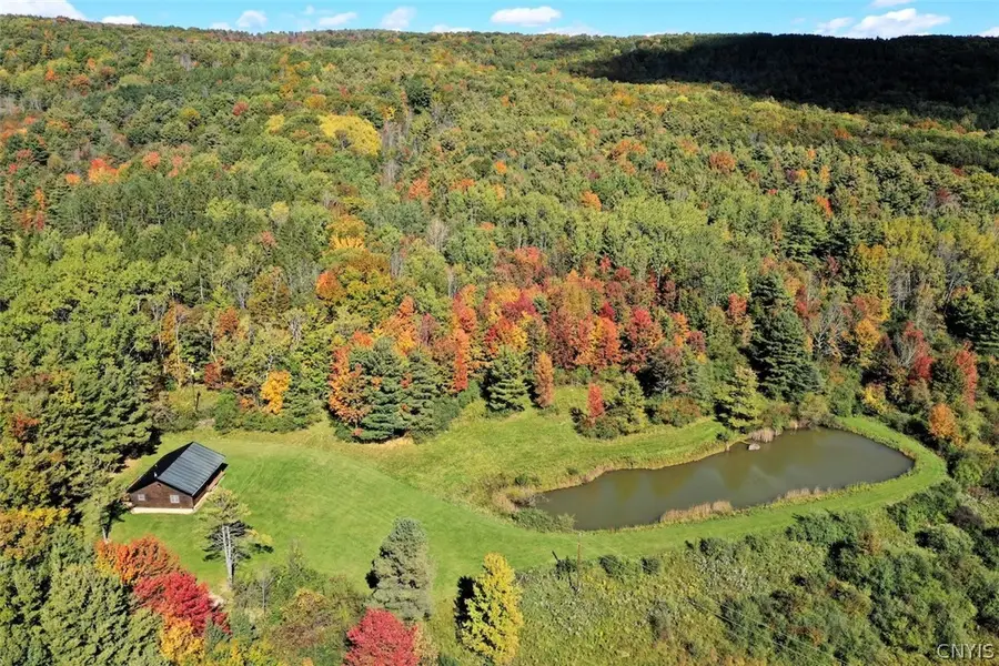 5152 Woodworth Road, Hornell, NY 14843 - #2