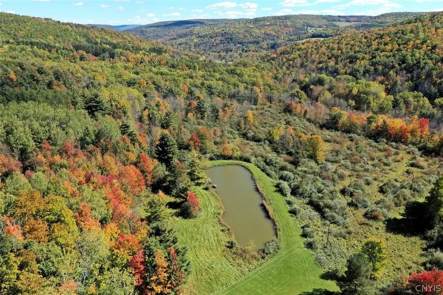 5152 Woodworth Road, Hornell, NY 14843 - #3