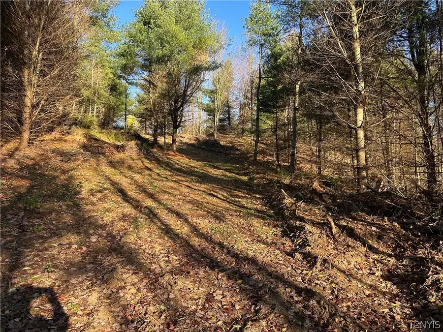 Wilna, Carthage, NY 13619 - #2