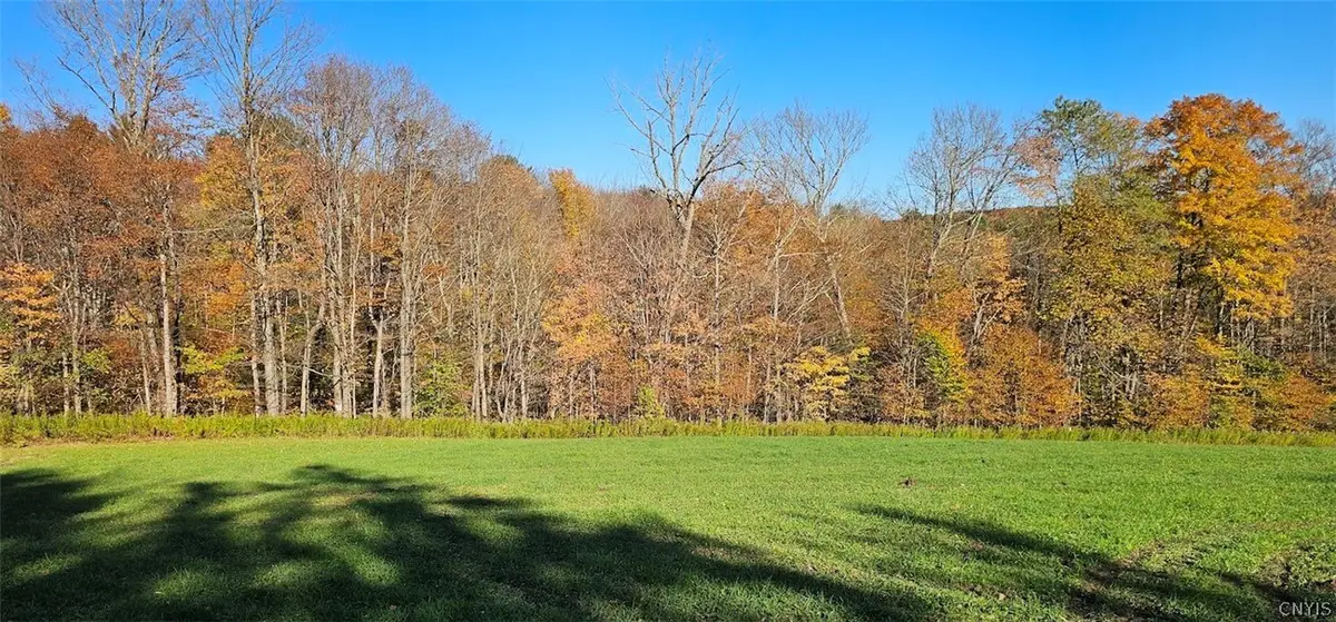 1100 Courtney Hill Road, Marathon, NY 13803 - #1