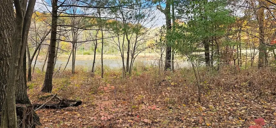 5031 State Route 79, Burdett, NY 14818 - #2