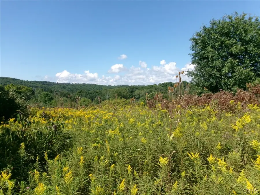 2361 Montrose Turnpike, Owego, NY 13827 - #2