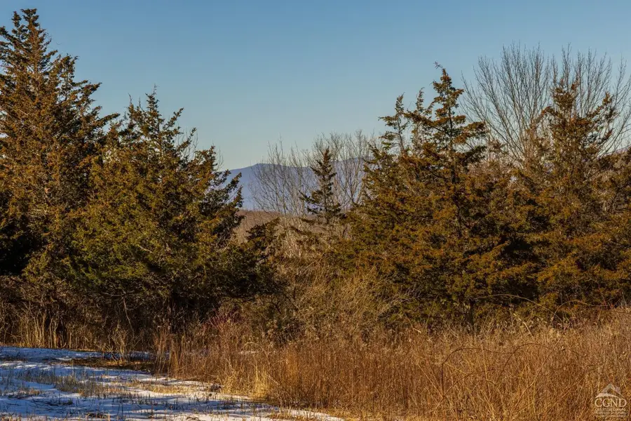 0 State Route 199 Road, Milan, NY 12571 - Image #3