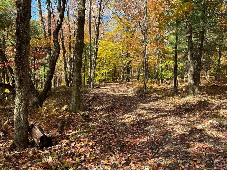 3 West Hill Rd., Austerlitz, NY 12017 - Image #3