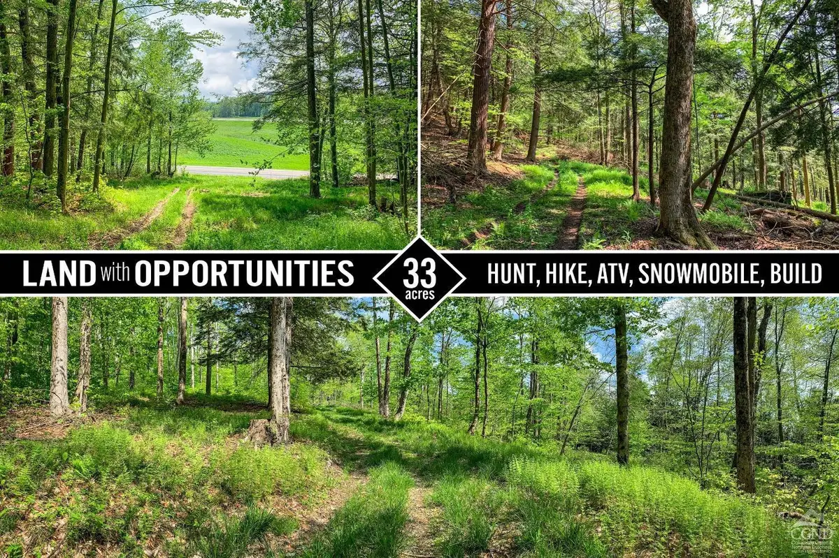 0 County Highway 44, Sidney, NY 13849 - Image #1