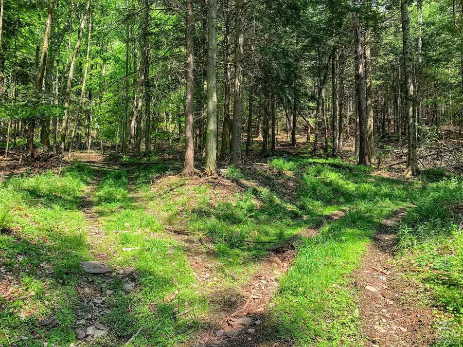 0 County Highway 44, Sidney, NY 13849 - Image #3