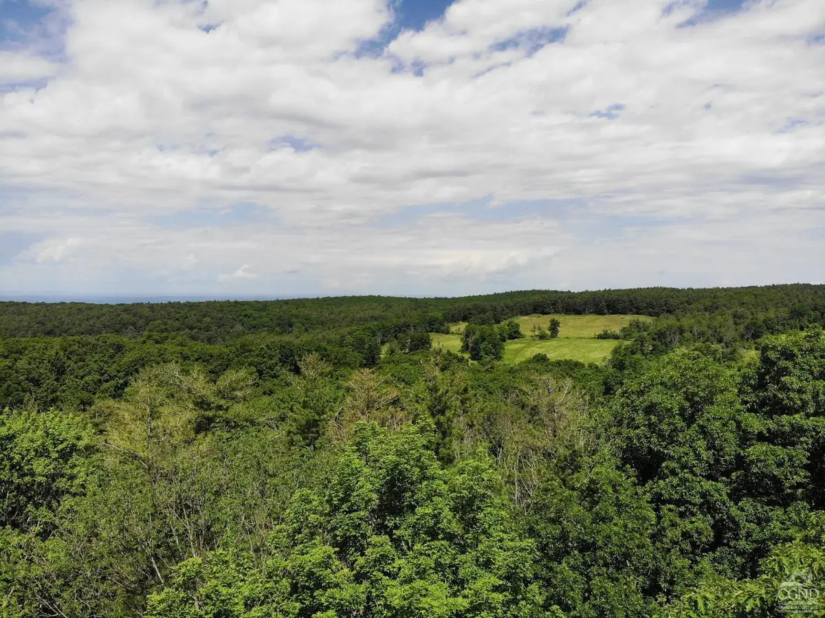 0 Reed Road, Austerlitz, NY 12017 - Image #1