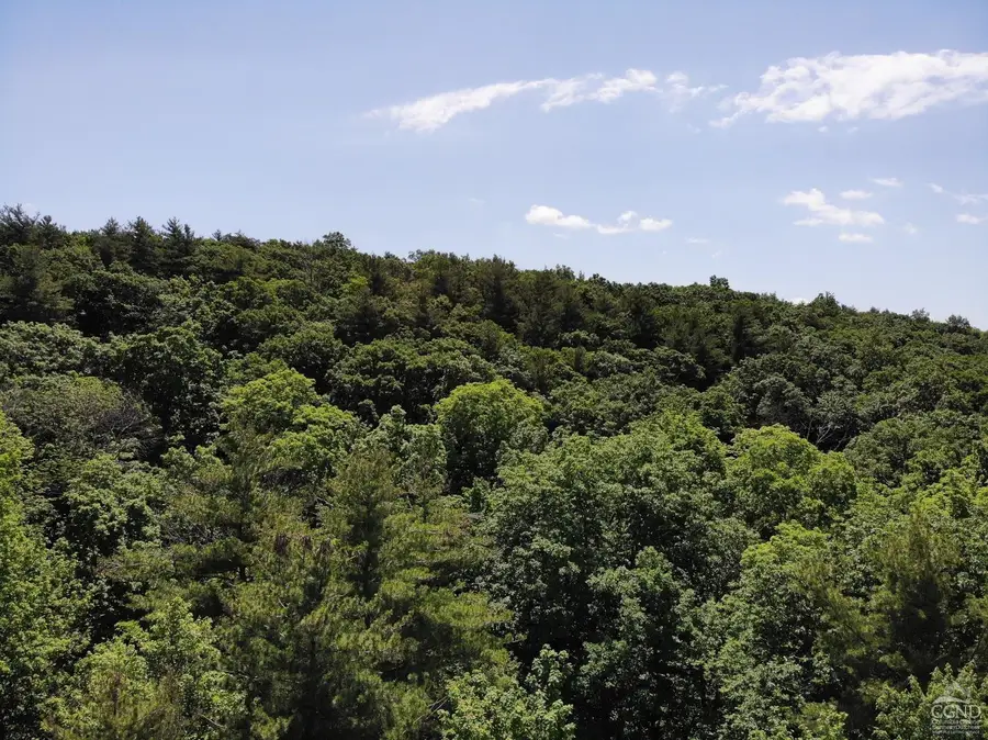 0 Reed Road, Austerlitz, NY 12017 - Image #3