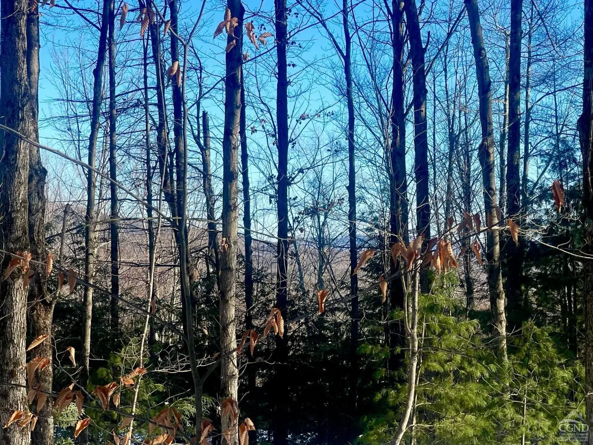 0 Tower Mountain Road, Jewett, NY 12444 - Image #1