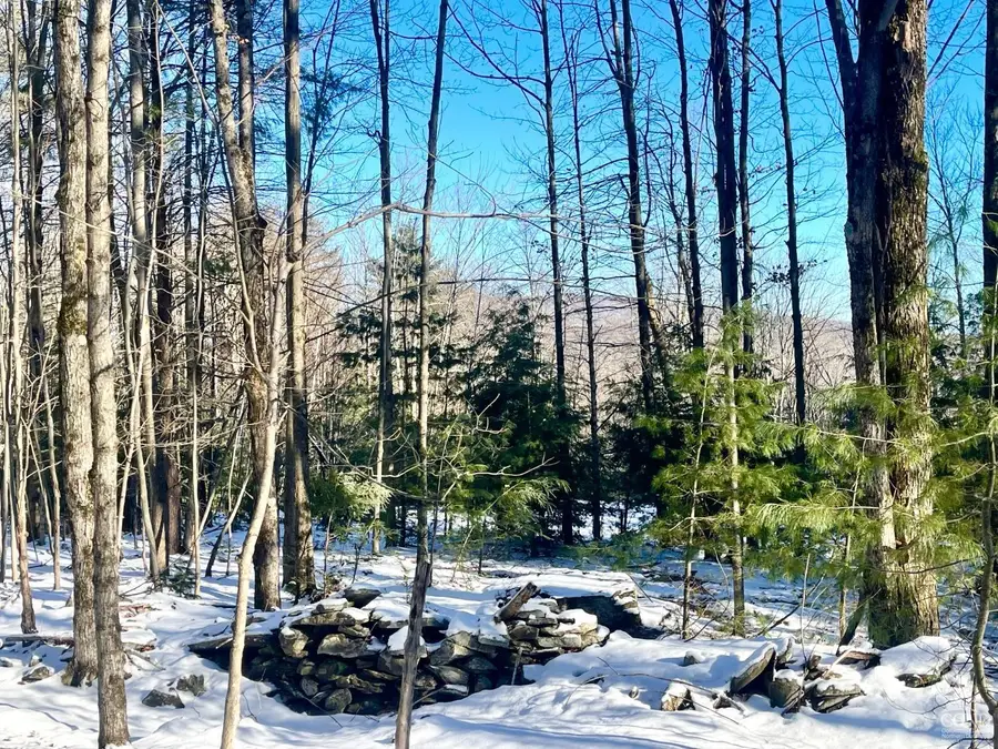 0 Tower Mountain Road, Jewett, NY 12444 - Image #2