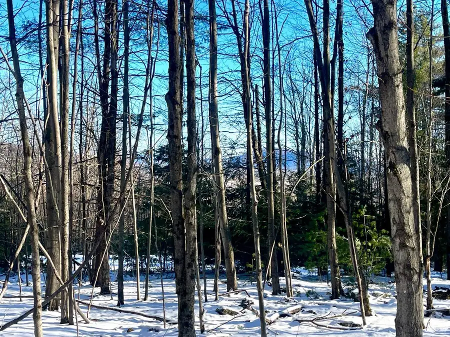 0 Tower Mountain Road, Jewett, NY 12444 - Image #3