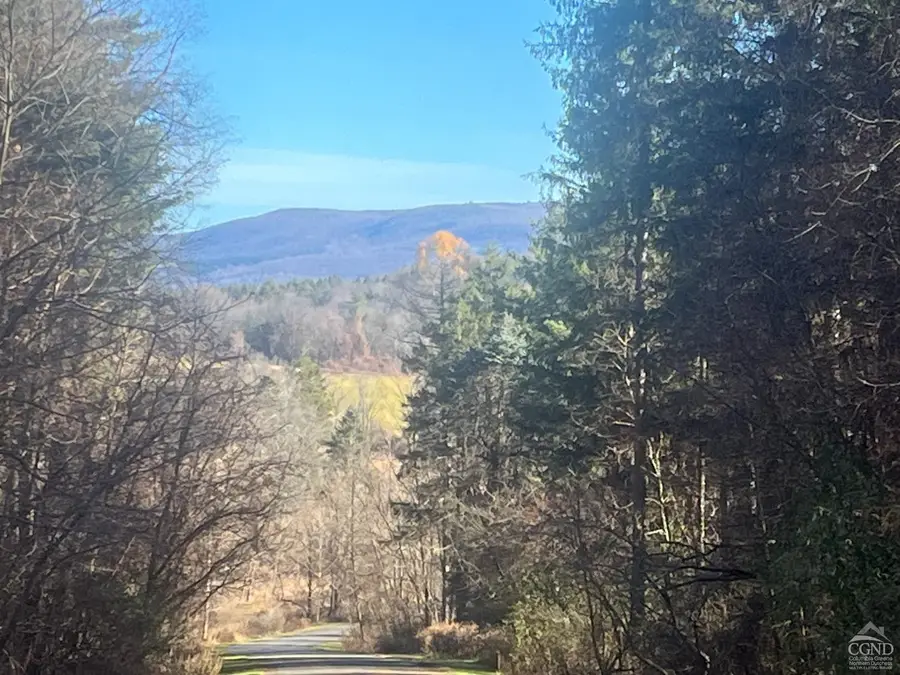 12 Pioneer, Copake, NY 12516 - Image #3