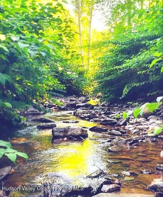 0 Wachter Blvd, Durham, NY 12423 - Image #1