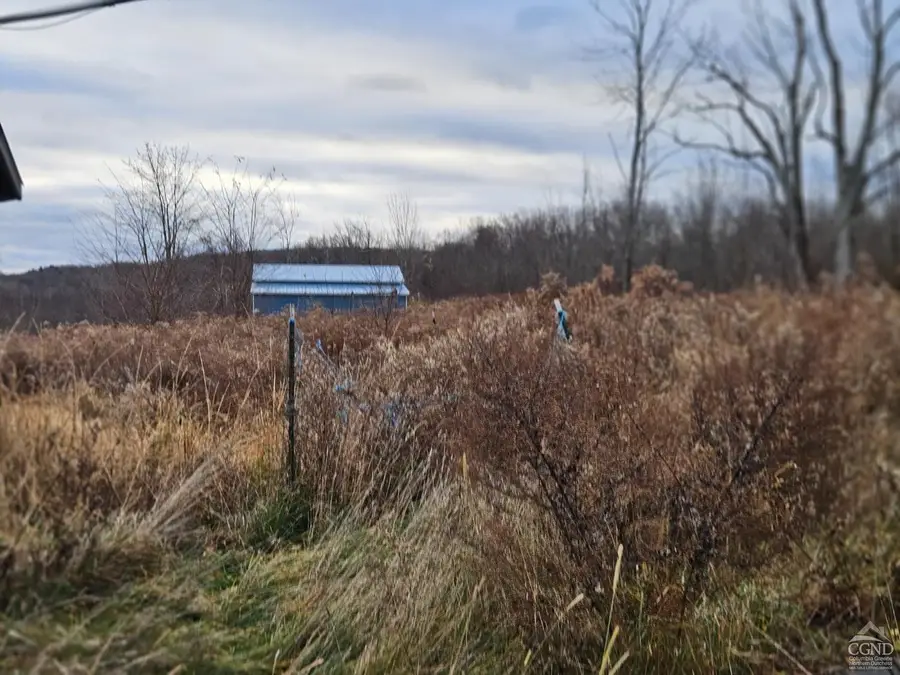 295 Shellstone Rd, Amsterdam, NY  - Image #2