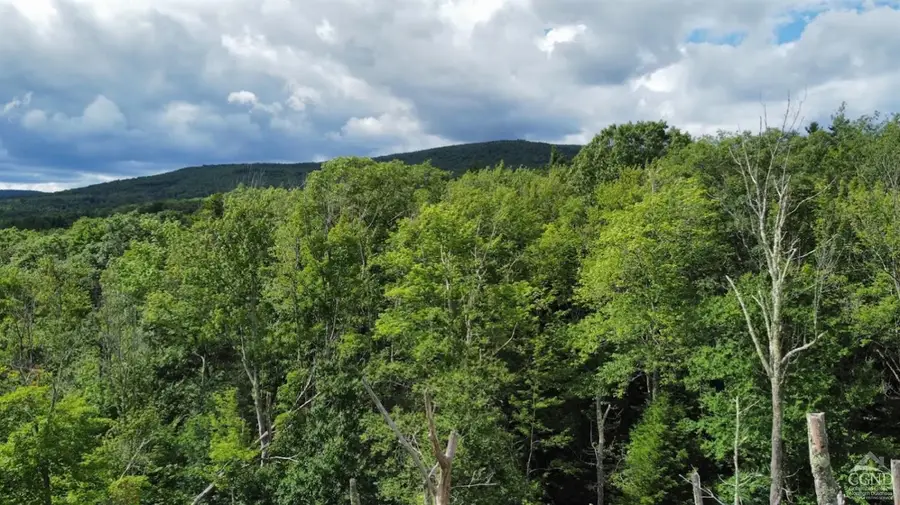 0 North Lake Road, Hunter, NY 12442 - #2