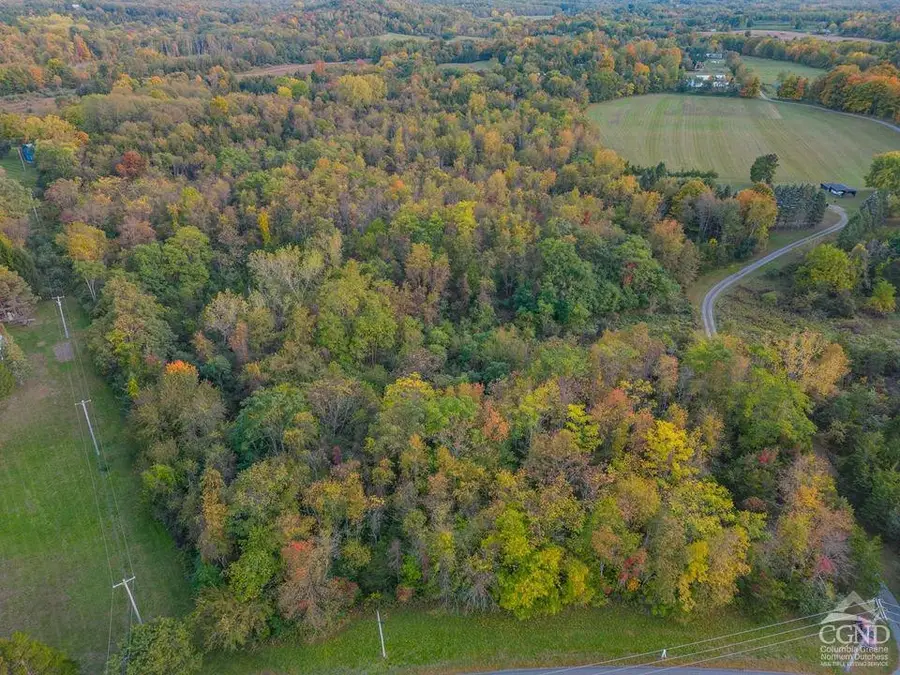 0 Bells Pond, Livingston, NY 12541 - Image #2